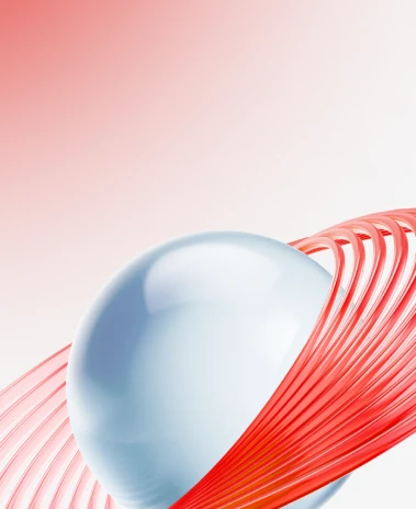 В рамках основной деятельности Общества